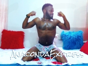 AnacondaExpress