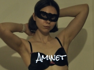 Aminet