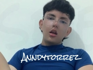 Anndytorrez