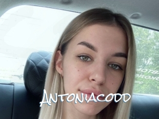 Antoniacodd