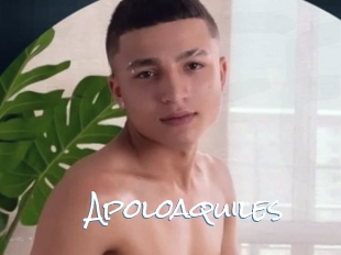 Apoloaquiles