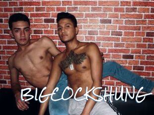 BIG_COCKS_HUNG