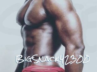 BigSnack42300