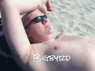 Bigbyrd