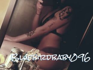 Bluebirdbaby096