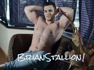 BrianStallion1