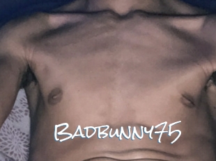 Badbunny75