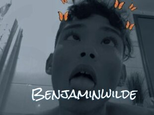 Benjaminwilde