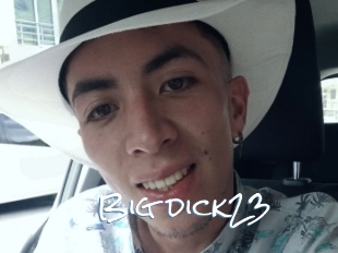 Big_dick23