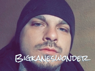 Bigkaneswonder