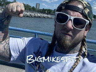 Bigmikesfit