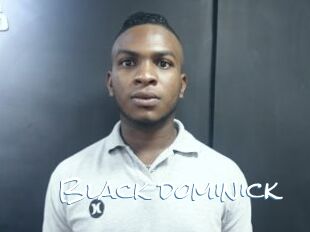 Black_dominick