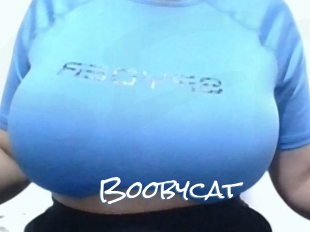 Boobycat