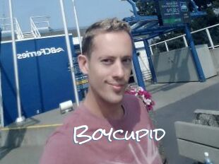 Boycupid