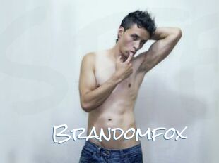 Brandomfox