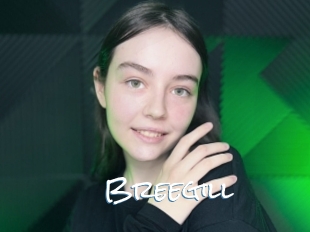 Breegill