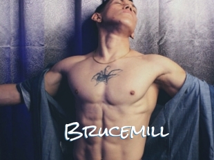 Brucemill