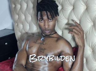 Brybilden