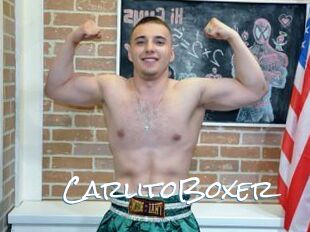 CarlitoBoxer