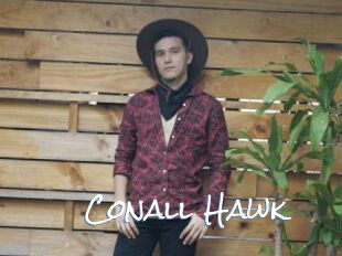 Conall_Hawk