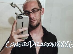 ConejoDragon8886