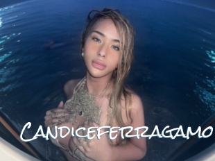 Candiceferragamo