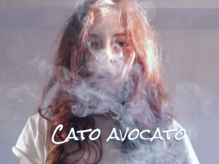 Cato_avocato