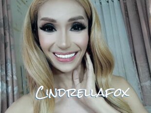 Cindrellafox