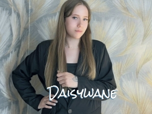 Daisywane