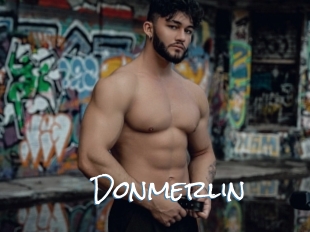 Donmerlin