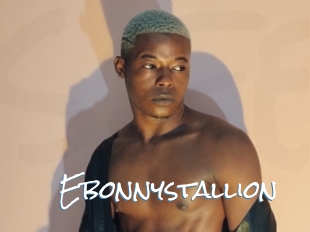 Ebonnystallion