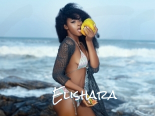 Elishara