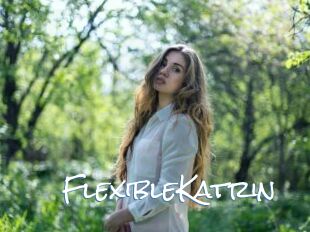 FlexibleKatrin