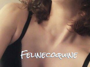 Felinecoquine