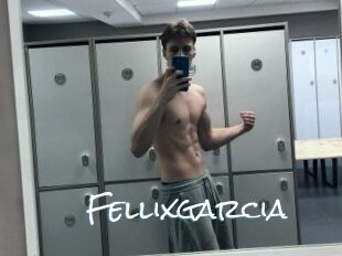 Fellixgarcia