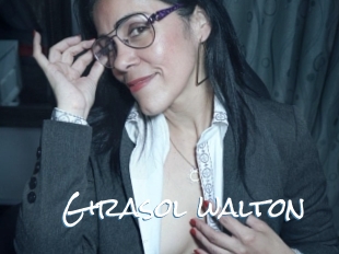 Girasol_walton