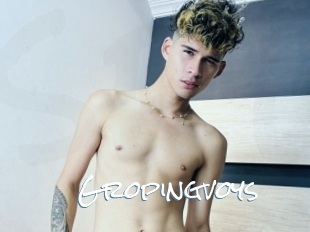 Gropingvoys