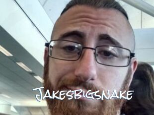 Jakesbigsnake