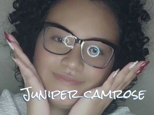 Juniper_camrose