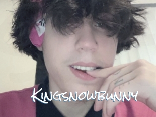 Kingsnowbunny