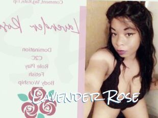 Lavender_Rose