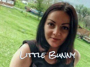 Little_Bunny_