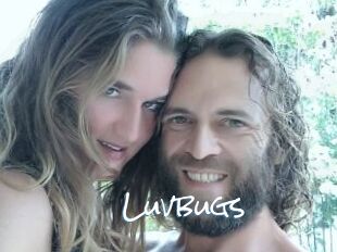 Luvbugs