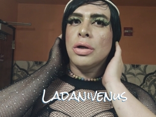 Ladanivenus