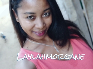 Laylahmorgane