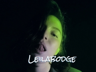 Leilabodge