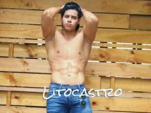 Litocastro