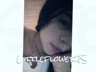 LittleflowerTS