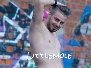 Littlemole