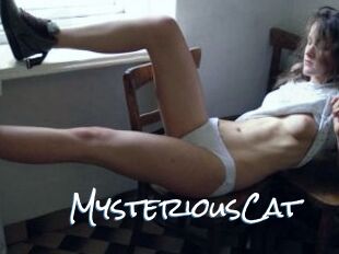 MysteriousCat